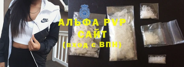 СК Алексин