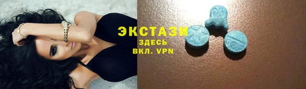 СК Алексин
