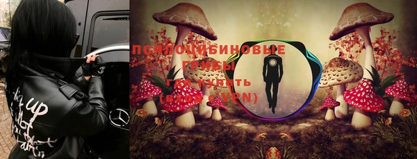 СК Алексин