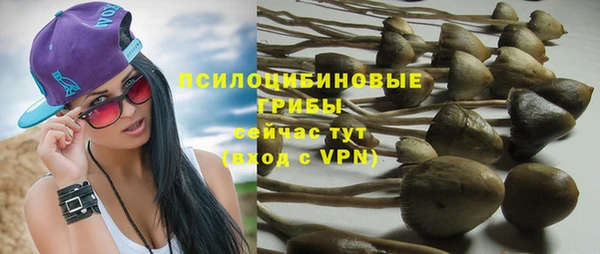 а пвп мука Алзамай