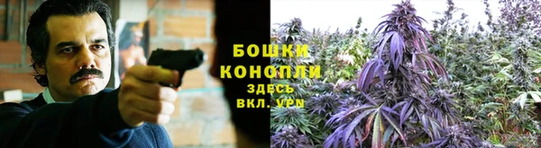 гашиш Аркадак