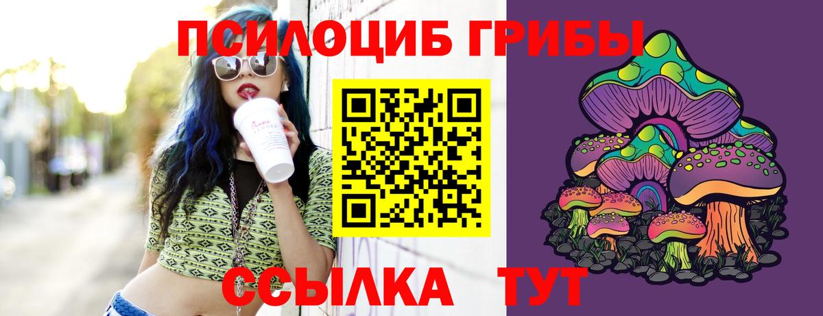 Галлюциногенные грибы мицелий Георгиевск