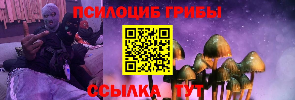 Галлюциногенные грибы Magic Shrooms  Вход с VPN  Георгиевск  Галлюциногенные грибы GOLDEN TEACHER 